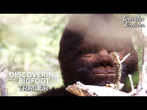 Discovering Bigfoot'