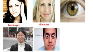 Describing physical appearance, What does she look like?, 8.sınıf ingilizce