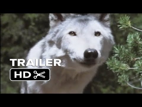 White Wolves III: Cry of the White Wolf'