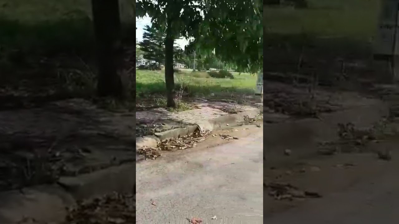 Bán lô đất MT 20m ngay KDC Tam Phước sát đường Phùng Hưng video
