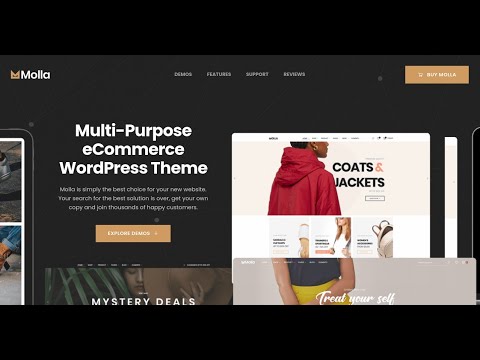 video Molla – Multi-Purpose WooCommerce Theme