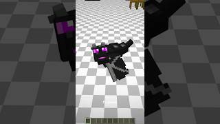I added baby enderdragon to #minecraft #cursedminecraft #cursedminecraft