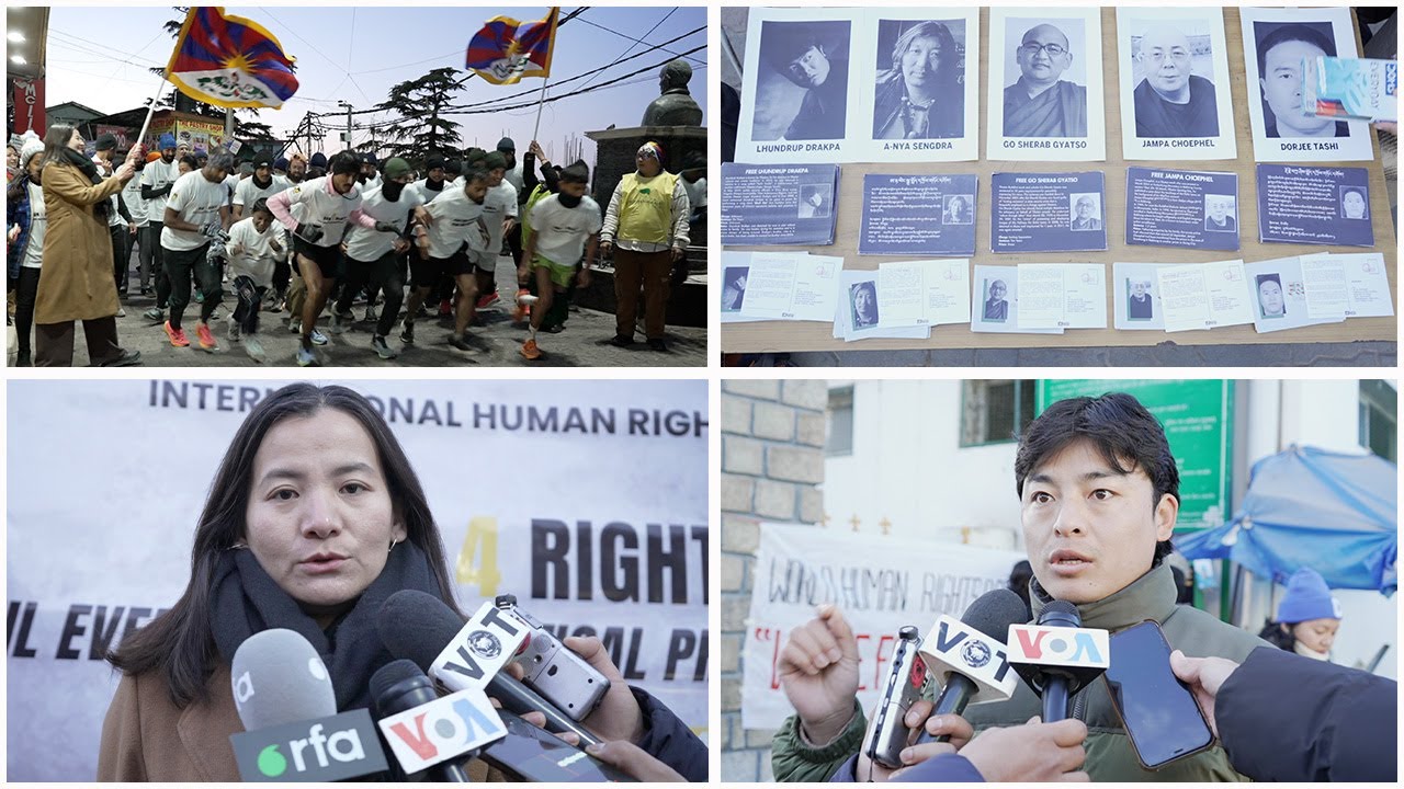 Dharamshala: NGOs Launch Campaigns Advocating Tibetan Political Prisoners' Release