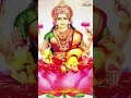 సౌభాగ్య లక్ష్మి రావమ్మా #laxmidevisongs #goddesslakshmisong #telugudevotionalsongs #bhaktisongs  - 00:59 min - News - Video