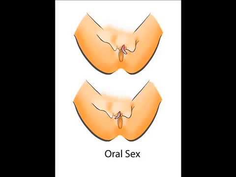 Clitoris Oral Sex 100