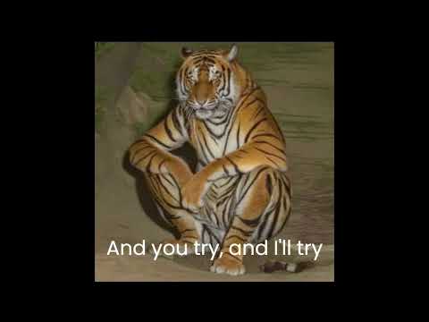 artemas - caroline lyrics