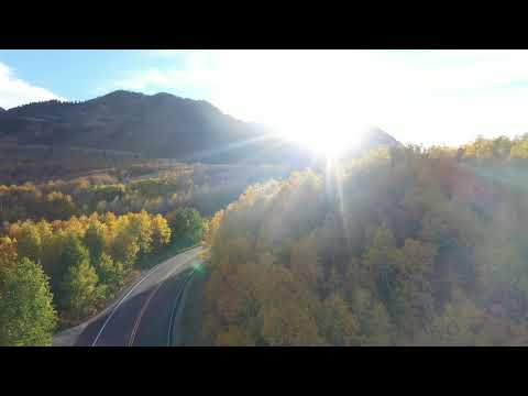 Race Video