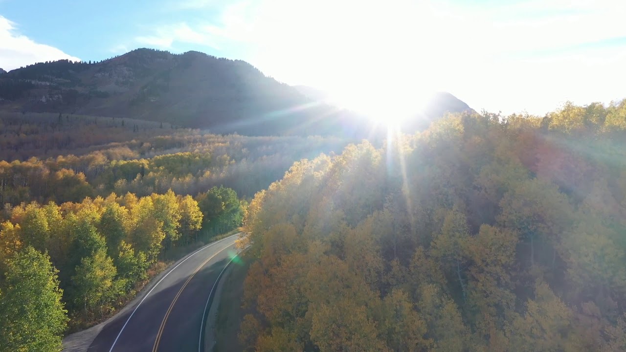 Race Video