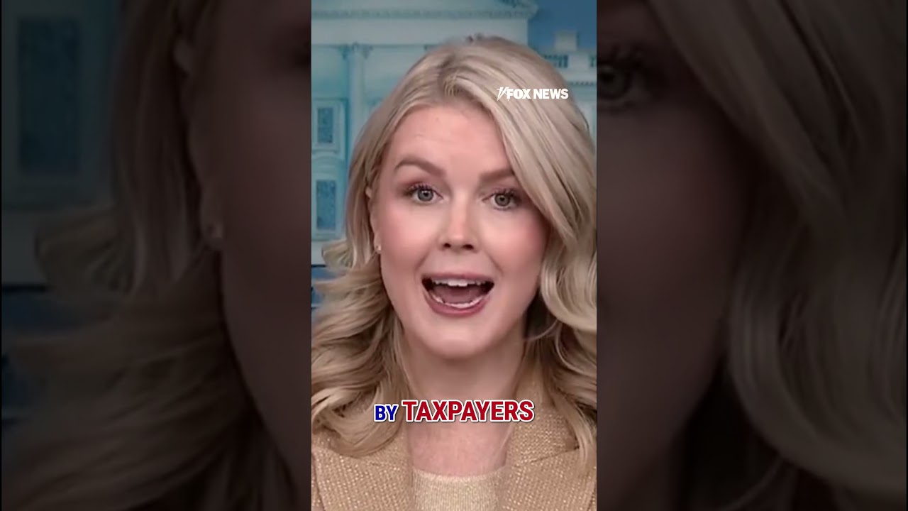 MASSIVE FRAUD: Press Secretary Karoline Leavitt lays out claims in Minnesota #shorts #usa #news #new