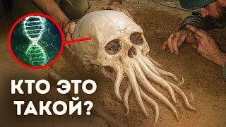 Археологи обнаружили в Сахаре неизвестный род человечества