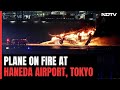 Japan Plane Fire | Japan Plane In Flames After Collision At Airport, Miracle Escape For 379