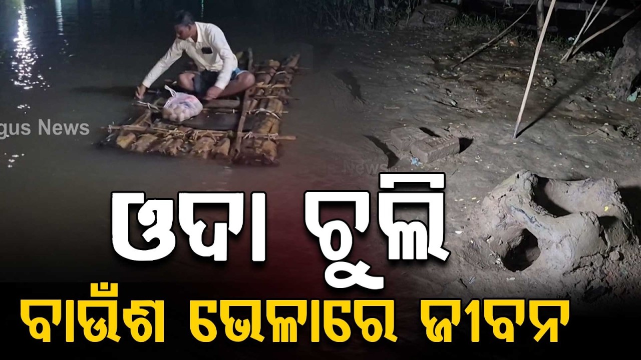 Life After Floods: Struggle For Survival In Kendrapara | Tehsildar Turns Savior | Argus News
