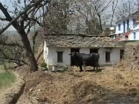 In Himalayan communities it is expensive to transport LPG gas and there is a decrease in the amount of firewood that can be harvested from the mountain. An alternative and renewable source of energy is to use methane which is produces from manure