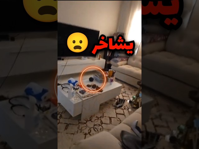 نايم لحالو بالبيت وسمع صوت شخير وهذا السبب (صدمه) 😦
