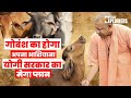 Gaushala in Uttar Pradesh: 2024 से सड़कों पर नहीं मिलेंगी गाय, Yogi Government ने शुरू किया अभियान
