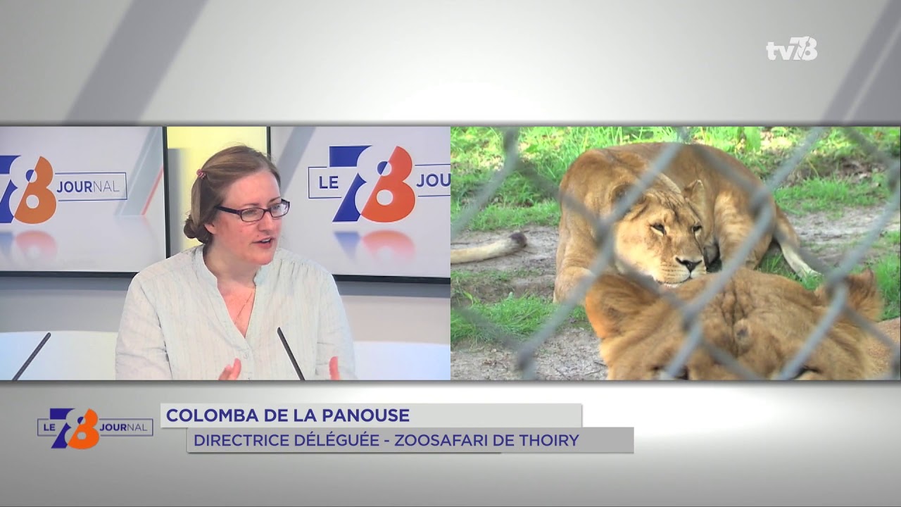 Le Parc zoologique de Thoiry fête ses 50 ans