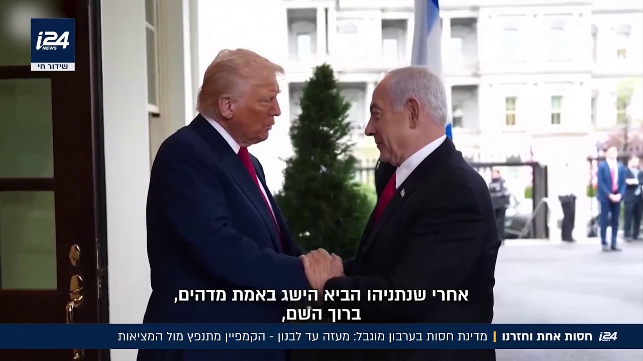 מדינה חסות בע