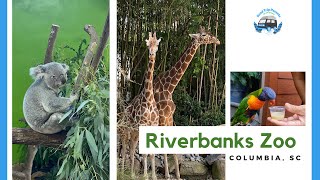 Discovering Riverbanks Zoo | Columbia, SC