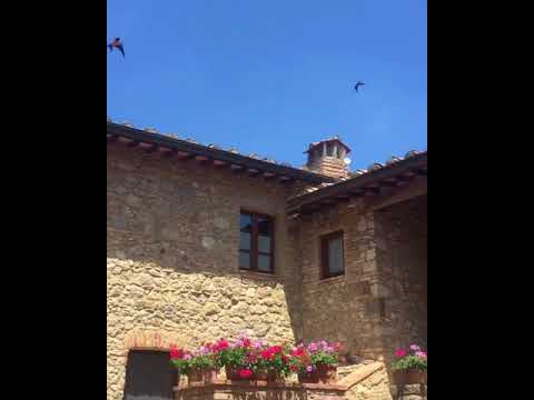 Property video