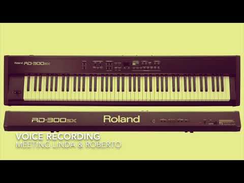 roland 300sx