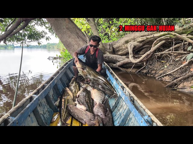 5 HARI CARI IKAN SAAT AIR SUNGAI SURUT & DAPAT BANYAK TANAMAN LIAR UNTUK DI MASAK😅 #bocahpecicilan