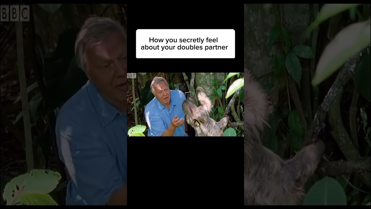An extraordinary creature 🦥…#shorts #memes #pickleball