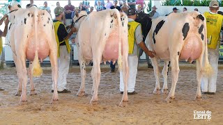 Itaipu Rural Show apresentou um espetáculo tecnológico para pecuária leiteira