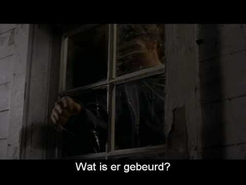 Open Window'
