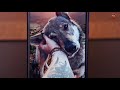 Huawei Nova 3i полный обзор одного из самых красивых смартфонов на канале! review