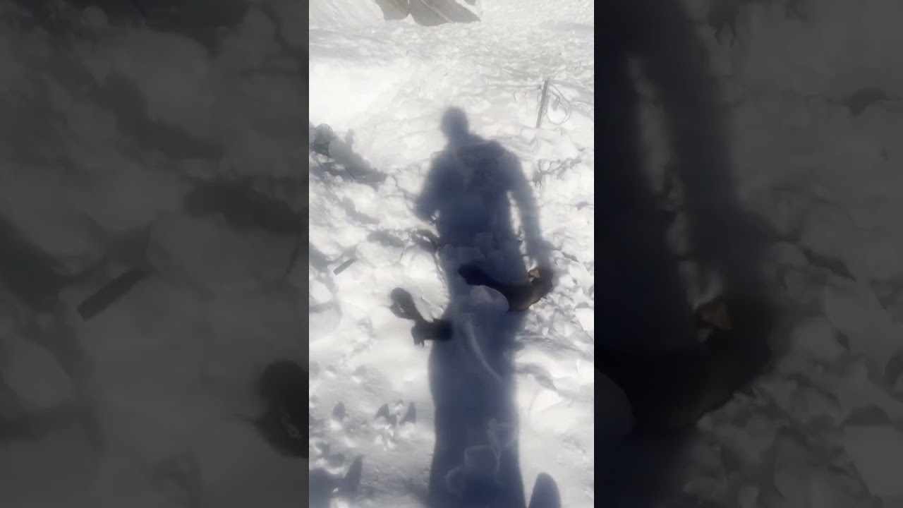 Deadly avalanche in Nepal