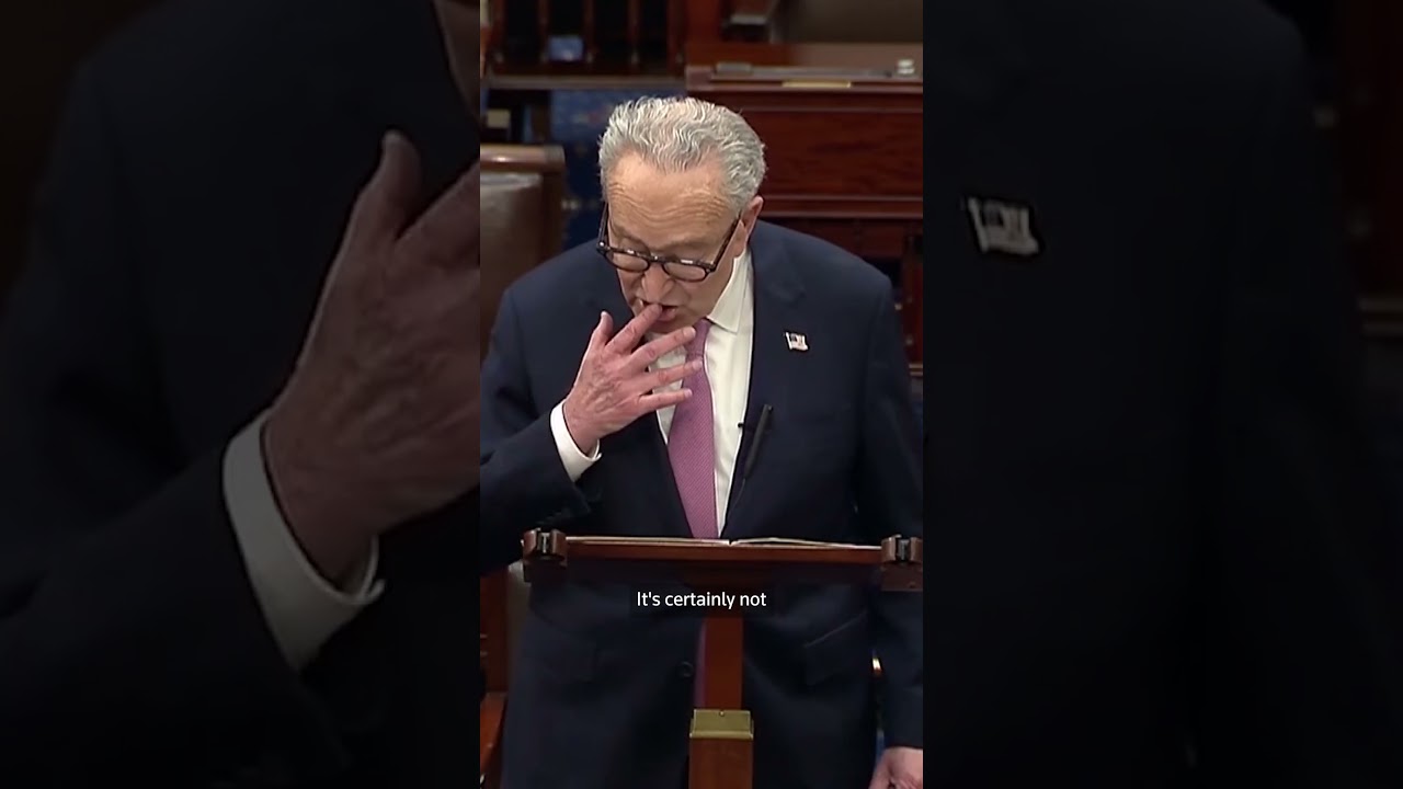 Schumer says ICE agents in airports is 'a terrible idea'