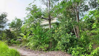 Watch 30 Hours of Restoration Packed into 20 Minutes of Visual Bliss