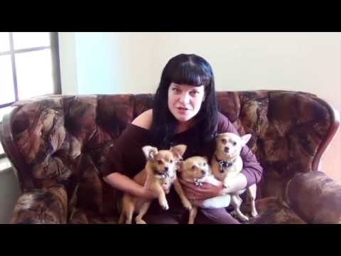 Remember Me Thursday 2016 Official Spokesperson NCIS actress Pauley Perrette is joined by her three rescue dogs (Rosie, Grace and Bug) to promote the global pet adoption awareness campaign on September 22 2016. Remember Me Thursday 2016 Official Spokesperson NCIS actress Pauley Perrette is joined by her three rescue dogs (Rosie, Grace and Bug) to promote the global pet adoption awareness campaign on September 22 2016.