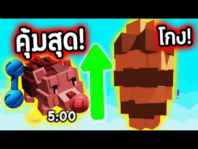Giant Pinecone ยักษ์ !!!! 🔥เม่นบัค "คูณเยอะสุด โกงสุด" ในเกม !!!! | Roblox Grow a Garden