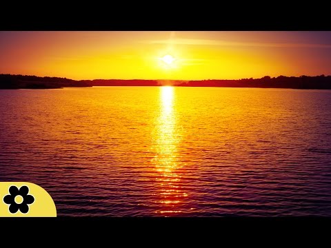 8 Hour Sleep Music, Calm Music for Sleeping, Delta Waves, Insomnia, Relaxing Music, ✿3058C
