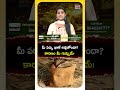 మీ పర్సు ఖాళీ అవుతోందా? కారణం మీ గుమ్మమే! #VastuForMoney #TeluguVastu #MainDoorVastu #MoneyTips  - 01:22 min - News - Video