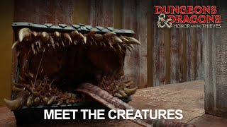 Meet The Creatures