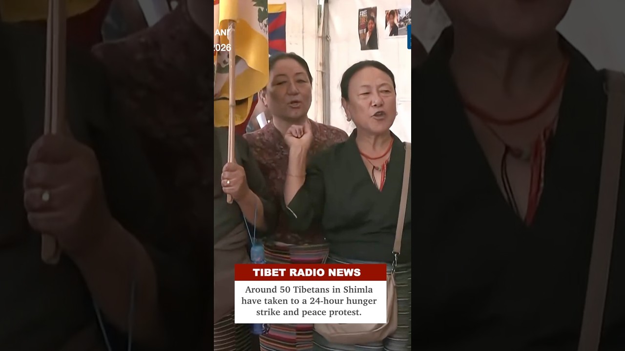 Around 50 Tibetans in Shimla have taken to a 24-hour hunger strike and peace protest.