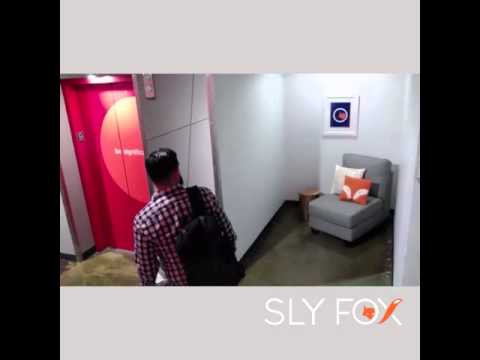 To help celebrate the launch of Sly Fox, we decided to create a little bit of mischief at the Moroch office in Dallas. Where there was once a hall the day before, there was now a wall so employees were forced to take a new path. That's what we do at Sly Fox. We find new ways to reach consumers and interrupt the every day daily routine with interesting solutions. To help celebrate the launch of Sly Fox, we decided to create a little bit of mischief at the Moroch office in Dallas. Where there was once a hall the day before, there was now a wall so employees were forced to take a new path. That's what we do at Sly Fox. We find new ways to reach consumers and interrupt the every day daily routine with interesting solutions.