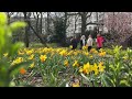 A look at Brussels on the first day of spring  - 00:50 min - News - Video