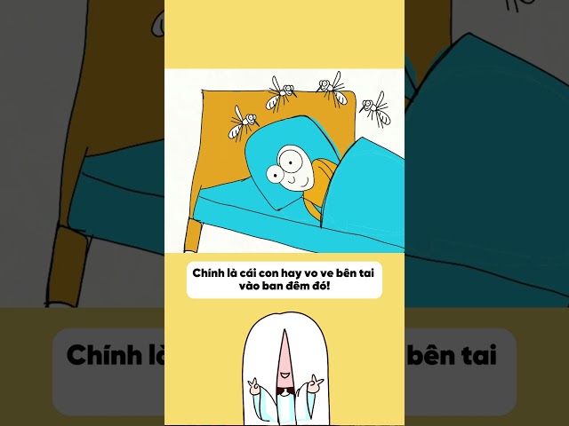 Cách nhận diện loài muỗi qua vết đốt | tvy channel #hoathinh #hoathinhtrungquoc