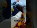 See the moment two boats collided in Miami  - 00:36 min - News - Video
