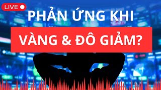 Phản ứng khi giá vàng và giá đô giảm? | Chứng khoán hôm nay | Nhận định thị trường