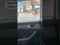 Runaway ostrich chased by South Korean police