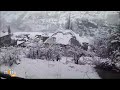 Himachal’s Lahaul-Spiti Receives Fresh Snowfall | News9  - 01:51 min - News - Video