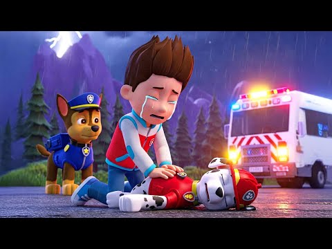Paw Patrol Ultimate Rescue | Good Bye My Friends!! - Ryder Sad Story | Full Episodes |  Rainbow 3