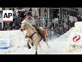 Skijoring blends rodeo and ski culture in Colorado town