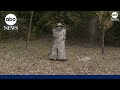 First-hand look at Ukraines thermal invisibility cloaks
