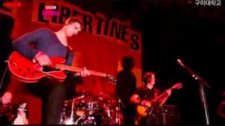 The Libertines - Don't Look Back Into The Sun (Live @ Reading 2010)