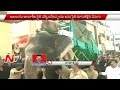 Muharram rally: Elephant runs amok, DCP has narrow escape